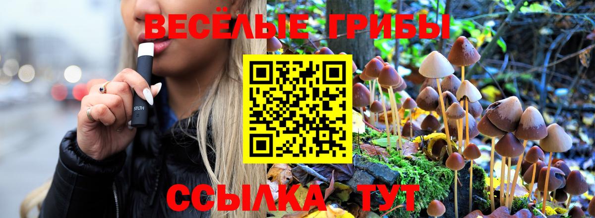 Псилоцибиновые грибы мицелий Дзержинск